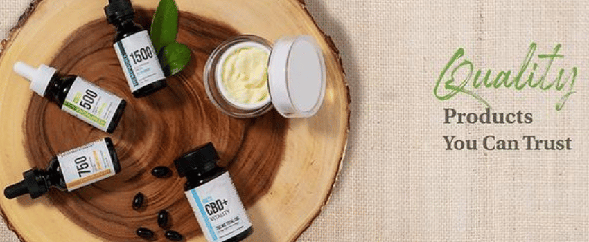 How to Buy Quality CBD Products